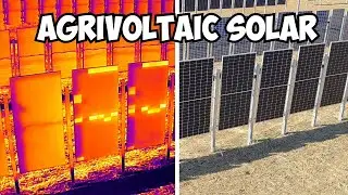 Vertical Agrivoltaic Solar Panel Drone Thermography