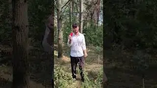 Чтобы выжить в лесу нужен только...Альфа банк