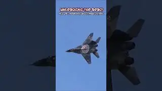 Unleashing the Beast: MiG-29 Weaponry and Combat ‼️