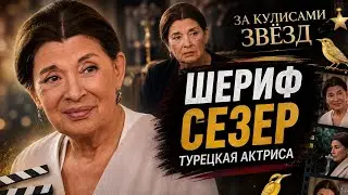 #Зимородок