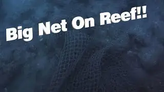 Big Net Found On Volusia Reef