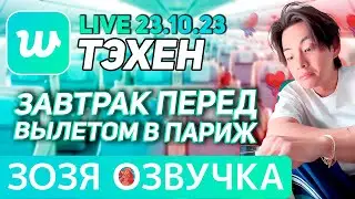 Озвучка Зозя 🤡 LIVE 23.10.2023 ТЭХЕН ВИ В САМОЛЕТЕ ЛАЙВ 