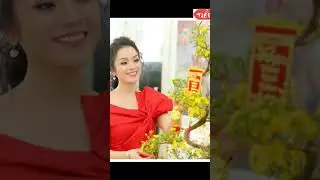Tóm Tắt Tiểu Sử Ca Sĩ Tân Nhàn
