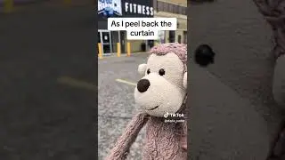 Chad the Monkey's Workout