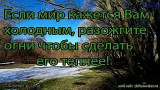ЦИТАТА МЕСЯЦА Апрель 2024