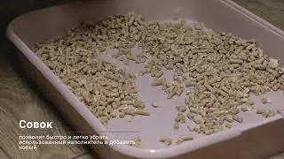 Лоток для кошек