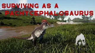 Surviving as a Pachycephalosaurus on the Official Servers | The Isle: Evrima