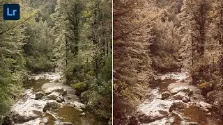 Lightroom Presets Tutorial Warm Autumn Fall Lightroom Preset