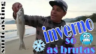 #EPISODIO 43 INVERNO, CHEGOU A ÉPOCA DE PEGAR AS BRUTAS