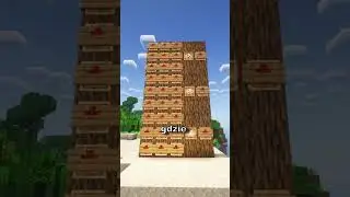 Zgadnij przedmiot w minutę #5 #minecraft #guess #gaming #gameplay #foryou