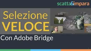 Selezionare agevolmente con Adobe Bridge