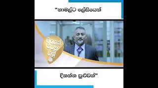 "නාමල්ට ලේසියෙන් දිනන්න පුළුවන්"