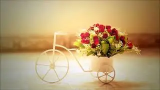 Romantic Ringtone   Ringtones for Android   Instrumental Ringtones