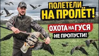 ОХОТА НА ГУСЯ 2024. ЛУЧШИЕ НАЛЕТЫ И ВЫСТРЕЛЫ #hunting #охота #goosehunting #hunter #гусь