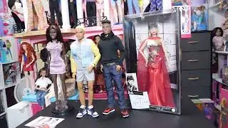 Lets Chat About Updates In My Hobby & A Few New Additions #dollcollector #barbie