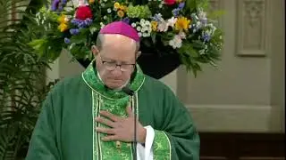 Homily, Bishop David J. Walkowiak - Fifteenth Sunday of Ordinary Time