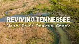REVIVING TENNESSEE: West Fork Drakes Creek