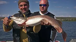 Турецкий джиг на русской реке. Щуки обезумели, клюют как сумасшедшие!!!