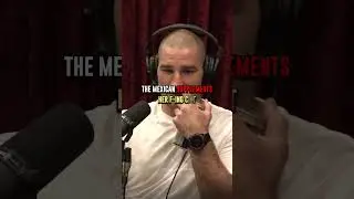 The Difference Between Men and Women in MMA