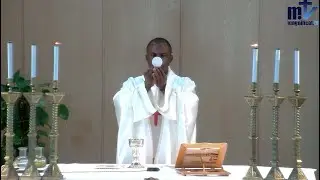 Sainte Messe du jour | S. Martin de Tours, évêque | 11-11-2024 |  P. Achille José Nkomo B, FM