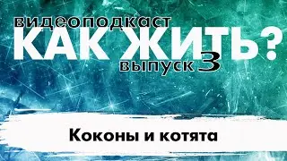 Видеоподкаст 