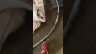 Пенза работает на штукатурной станции SertaMaster XL PRO, видео отчет от бригады 💪🏼