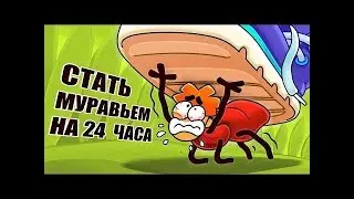Что Если Бы Ты Стал Муравьем