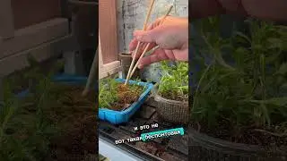 Вы сильно удивитесь, когда узнаете это !
