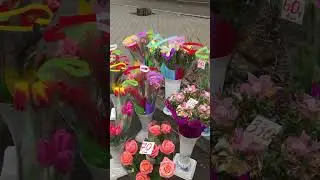 Нікополь квіти .