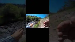 A PERFECT Trout Creek! #shorts