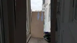 5 июля 2024 г.