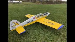 Pichler Modellbau | ProWing Digital 2020
