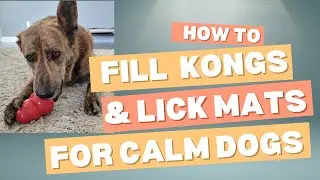 How to Fill Kongs & Lick Mats for Calm, Enriched Dogs | Mental Enrichment for a Happier Pet