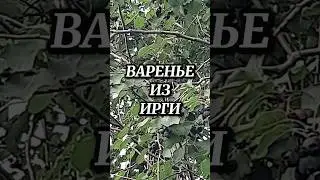 Варенье из ирги 
