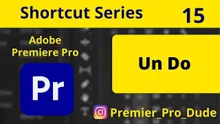 How to undo a task in Adobe Premiere Pro | Premier Pro Dude