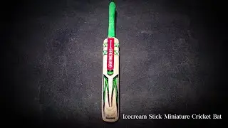 Ice-cream stick miniature cricket bed