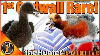 I LOVE Chasing Rare Waterfowl in Call of the Wild | Melanistic Gadwall + 💎 Wigeon!