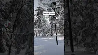 Зимняя сказка