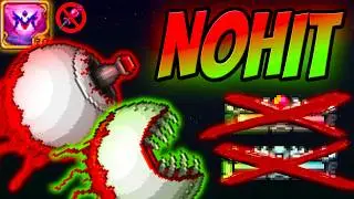 БЛИЗНЕЦЫ NO HIT: Без ярости и адреналина! [Calamity Infernum]