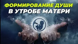 КАК ДУША ВЫБИРАЕТ ТЕЛО? ЭНЕРГЕТИЧЕСКОЕ ДРЕВО ЖИЗНИ #фитнес_сознания#фитнес_сознания