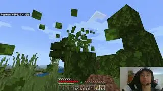 Minecraft Cliffs&Caves #3: Farm Trees Shovel Dirt