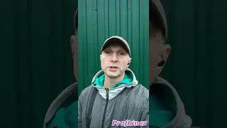 Мечтать или действовать?