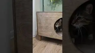 Сделала функциональную лежанку для кошки #diy #мебельсвоимируками #лежанка