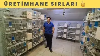 KUŞ ÜRETİMHANESİ SIRLARI