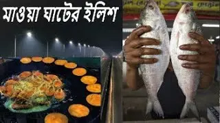 Mawa Hilsha Fry | মাওয়া ঘাটের ইলিশ JVT #vlog #ilish #food