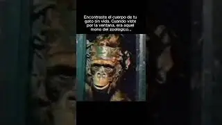 El Mono Caníbal del Zoológico | void memes turbios 