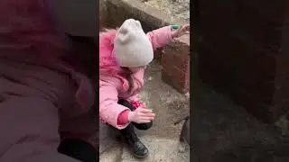 Щенки ЗСЛ на прогулке