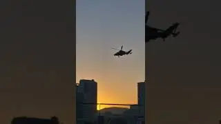 RAAF  Tiger Helicopter on a show . Brisbane Riverfire 2024
