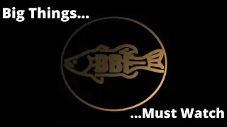**BIG Things Coming THIS Week! MAKE SURE To WATCH!!**