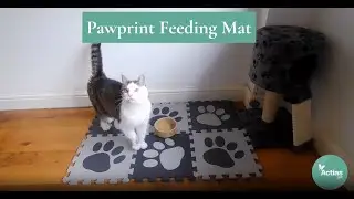 Actiaspet Pawprint Feeding Mat 74296